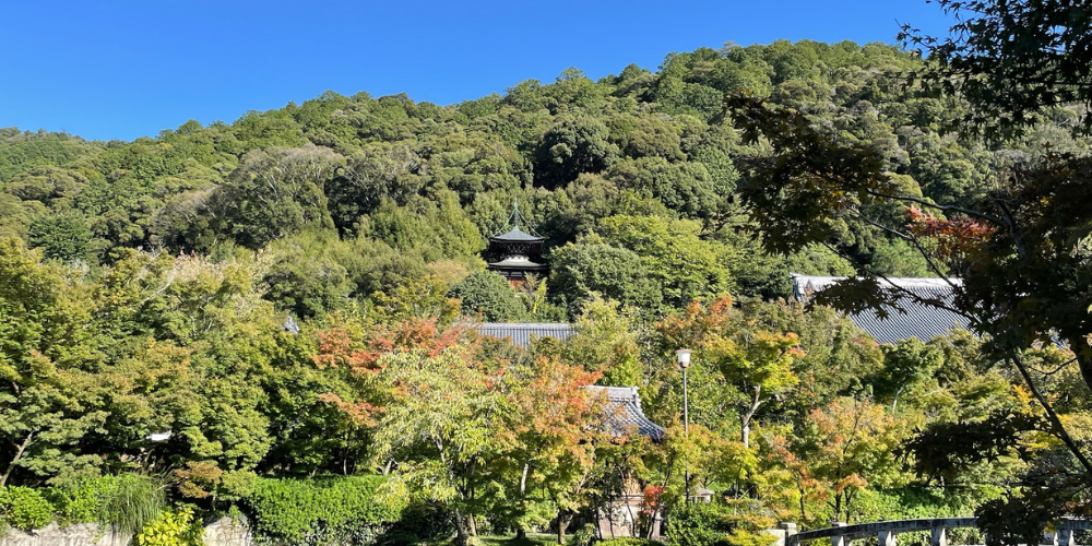 Kyoto Gardens